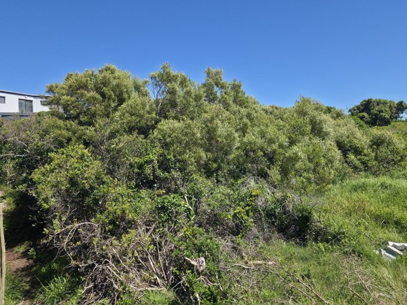 0 Bedroom Property for Sale in Paradise Beach Eastern Cape